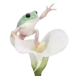 Frogandfrogs