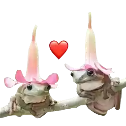 Frogandfrogs