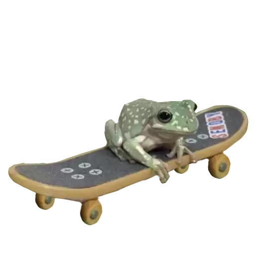 Frogandfrogs