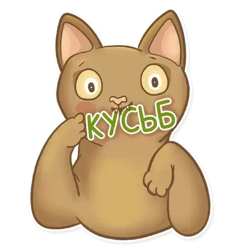 Funny_Abyssinian