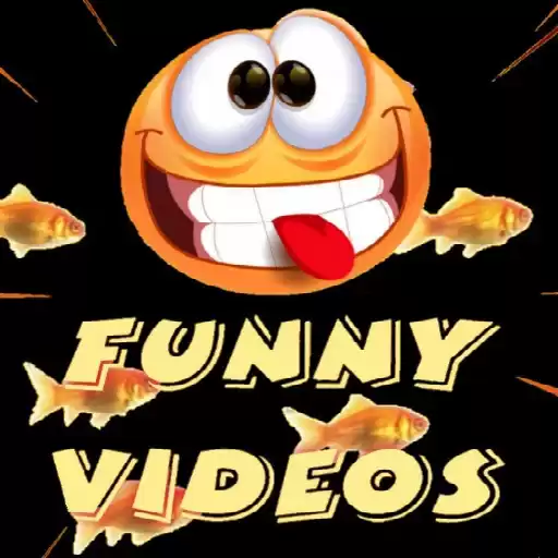 Funnyvideos