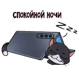 GalaxyCatSam