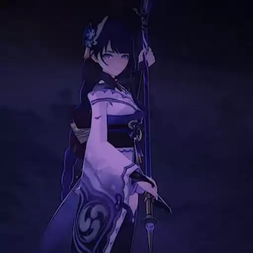 GenshinRaidenshogunpack