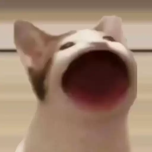 Gorba_Meoweet
