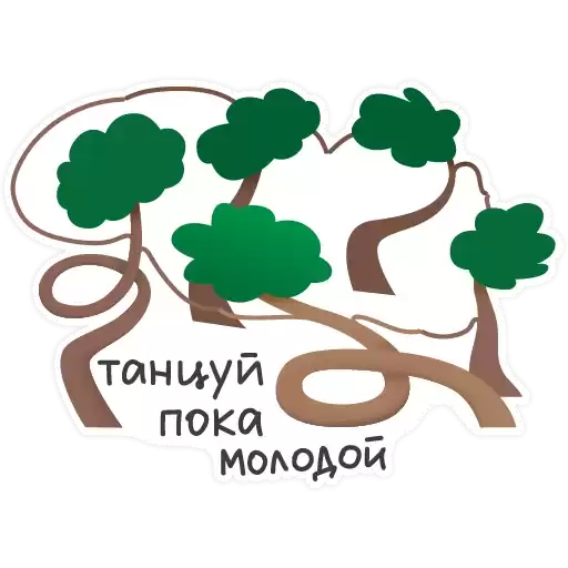Gorod39