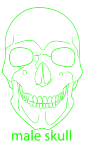 GreenSkullyPack