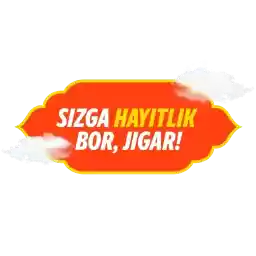 HAYITLIK_50