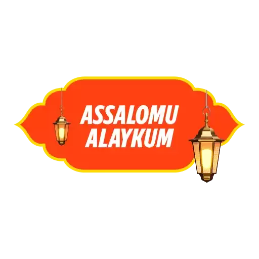 HAYITLIK_50