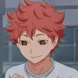 HinataShoyoStic