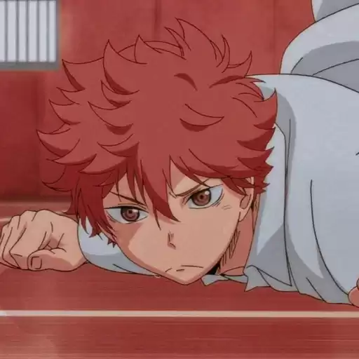 HinataShoyoStic