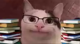 ItsBeluga