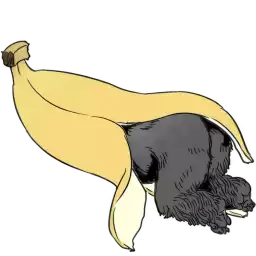 Just_gorilla2_Nyasticks