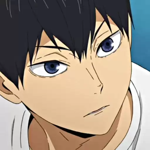KAGEYAMATOBIO_DTRVS