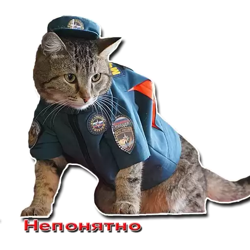 KatSemen