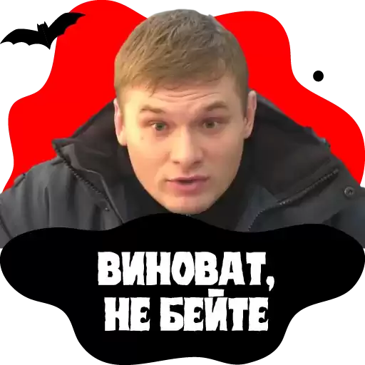KonovalovVO