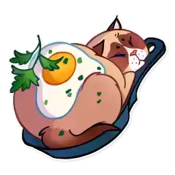 KookyCat