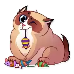 KookyCat