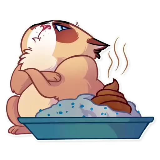 KookyCat