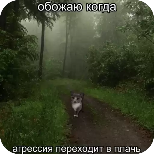 KotyataVDepressii