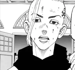 LeftHoyaFelts_by_fStikBot