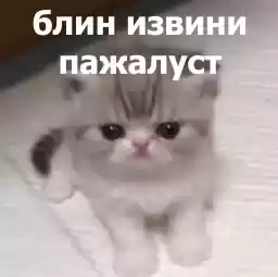 LolAnimals4