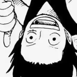 Luffybeanikestick
