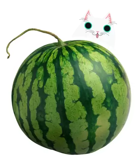 MelonWatermelon_by_TgEmodziBot