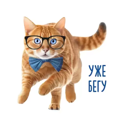 MeowFin
