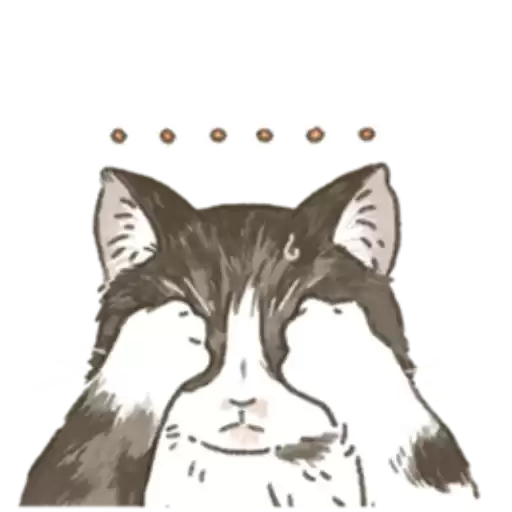 Meows_RomoandDolDolnyakwii