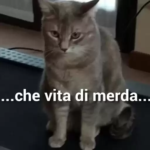 Mewing