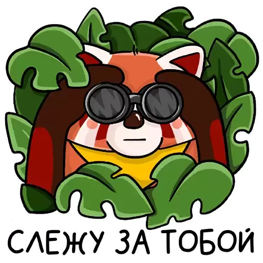 Mimi_dobro