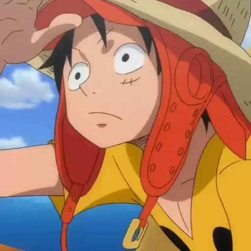 Monkidluffy