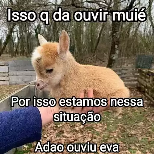 MsgFofas2