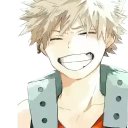 MyHeroAcademia_awamir_bidar