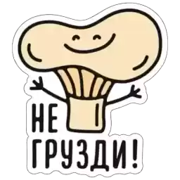 Nashlepki_nashlepki