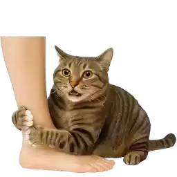 Naughty_Tabby_cat_Nyasticks