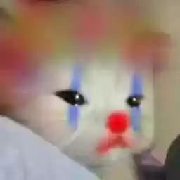 Nekonyaaaa