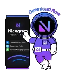 Nicegramimwonstein