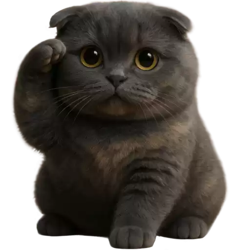 Nong_dum_cute_cat_Nyasticks