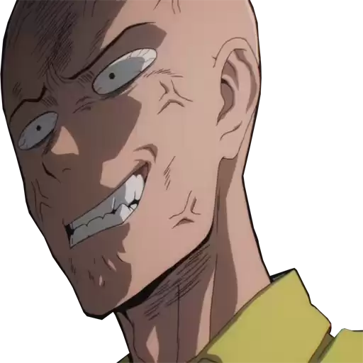 ONEPUNCHMAN2