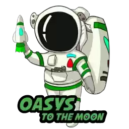 OasysProject1213