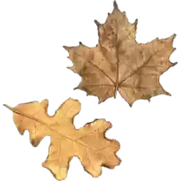 Octoberfuck2_by_fStikBot