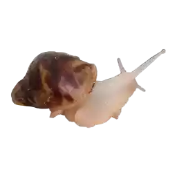 Octoberfuck_by_fStikBot