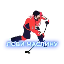Ovi_895