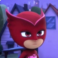 Owletteamaya