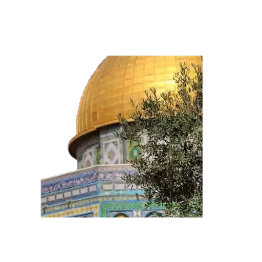 Palestinian