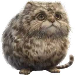 Pallas_Cat_super_fat_Nyasticks