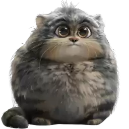 Pallas_Cat_super_fat_Nyasticks