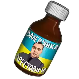 PasswordPalyanitsa