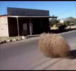 PepeIsVida